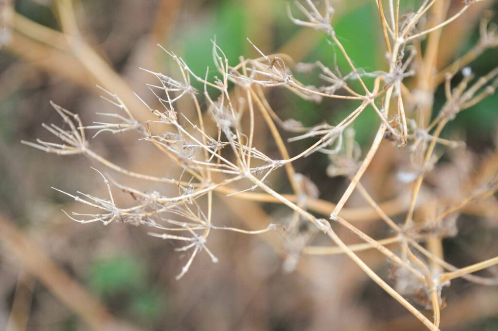 Besondere Blickwinkel Natur
