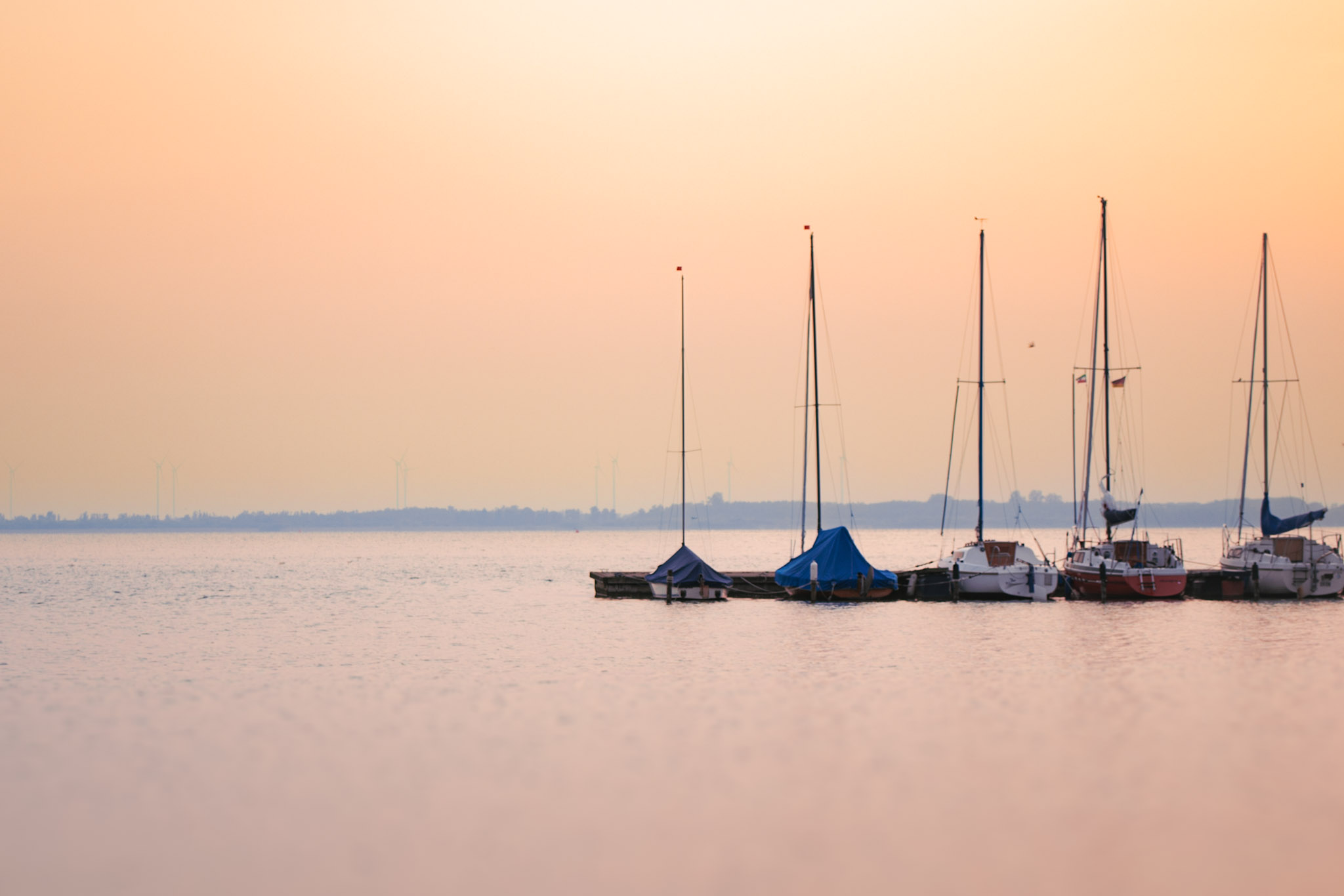 Goldene Stunde am Dümmersee